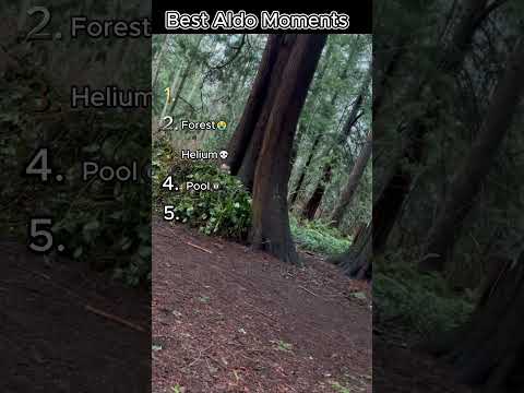 Funniest Aldo Moments 😭😭 #aldo #funny #ranking  #best