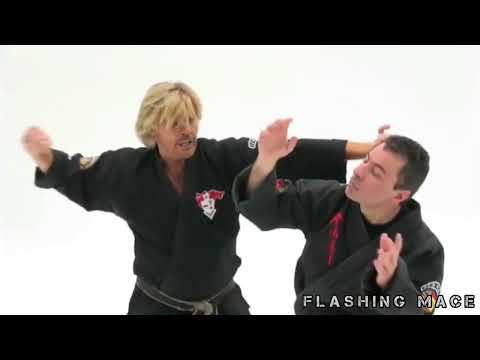 Kenpo Karate - Master Larry Tatum - Flashing Mace Technique.