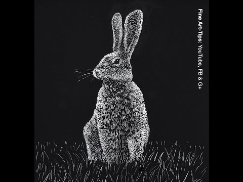 How to Draw a Hare - Rabbit - Scratchboard