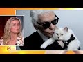 Eigen kledinglijn voor poes Karl Lagerfeld - RTL BOULEVARD