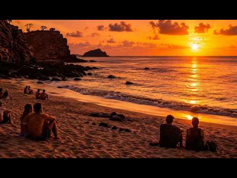GUIA DA PRAIA DO CACHORRO: O CORAÇÃO ESCONDIDO DE FERNANDO DE NORONHA