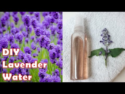 download lagu mp3 mp4 Lavender Water Recipe, download lagu Lavender Water Recipe gratis, unduh video klip Lavender Water Recipe