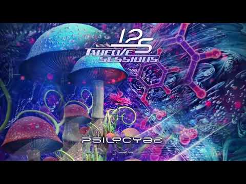 Twelve Sessions - Psilocybe