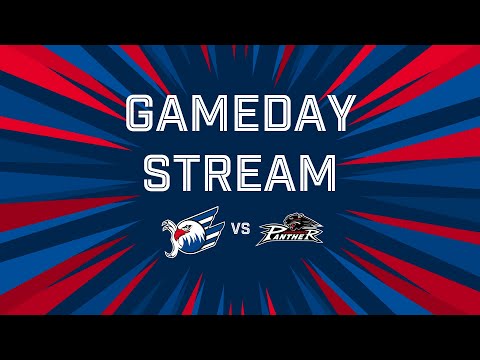 Gameday-Stream: Adler Mannheim VS. Augsburger Panther