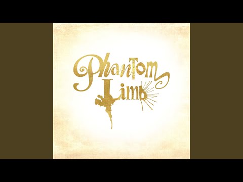 Don't Say a Word - Phantom Limb