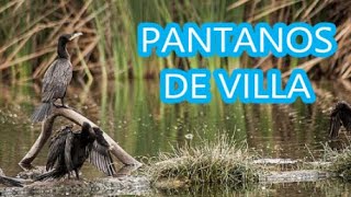 preview picture of video 'Pantanos de Villa'