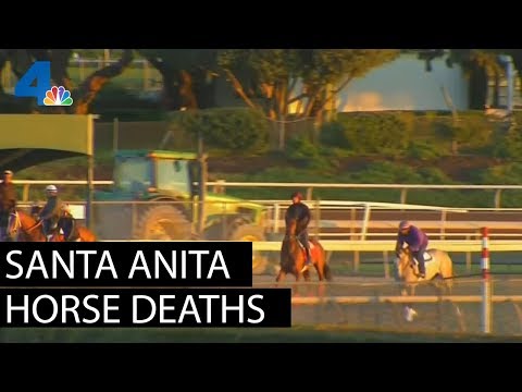 Santa Anita's Disturbing Horse Deaths  | NBCLA