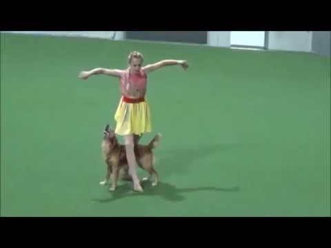 Boogie HTM OEC 2018 Qualification