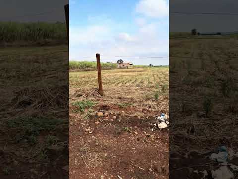 Aeroporto de Bandeirantes Pr no bairro Yara
