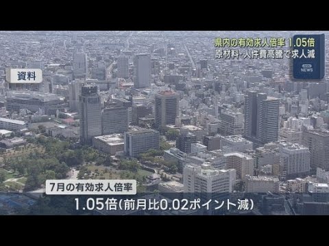 YouTube Video 7月の静岡県内の有効求人倍率は1.05倍 原材料や人件費高騰の影響などで前の月をわずかに下回る
