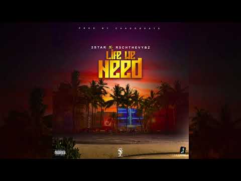 2 Star X RichTheVybz- Life We Need (Official Audio)