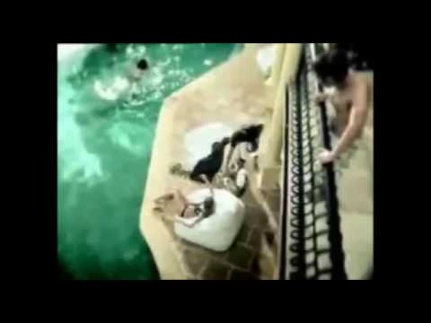 Lustigste Bier Werbung aller Zeiten   Hahn Bier