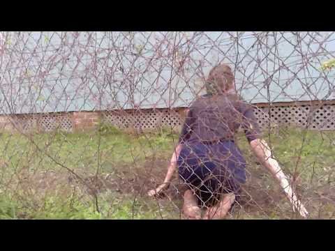 "Almost Without Surface" DAN 310