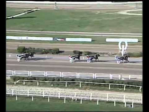 Trotto 30/10/2014 - 1° prova di qualifica