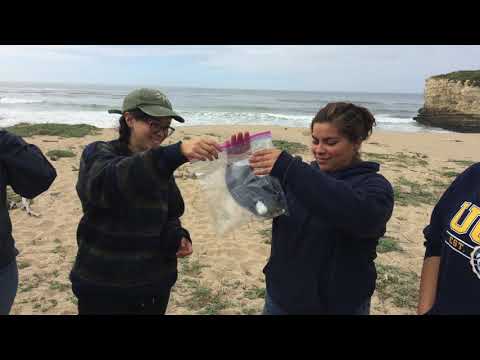 YLR Tour Stop 15: Teaching