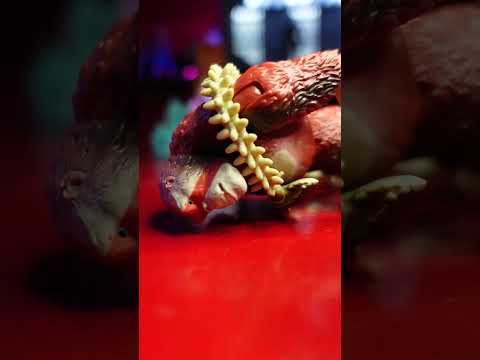 Godzilla x Kong en menos de 10 segundos #shorts