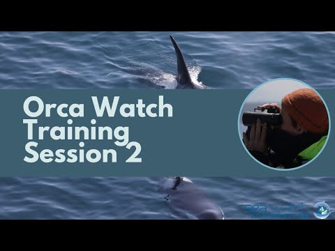 Orca Watch 2022 Training Session 2