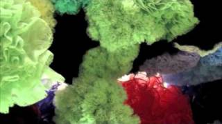 Jesse Harris: It's A Long Way Just To Say Hello