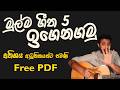 5 Easy Songs For Beginners To Start Easy Chords Sinhala Guitar Lesson Lesson 08
