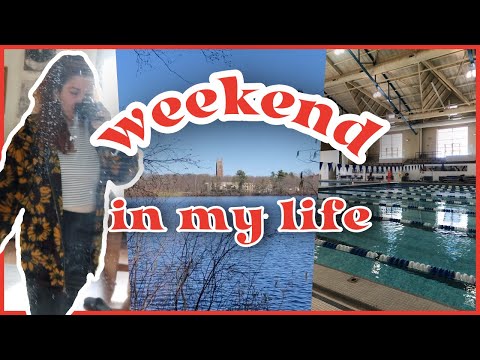 Wellesley College Academic Calendar 2021​| Top Scholarships & Scholarship Information