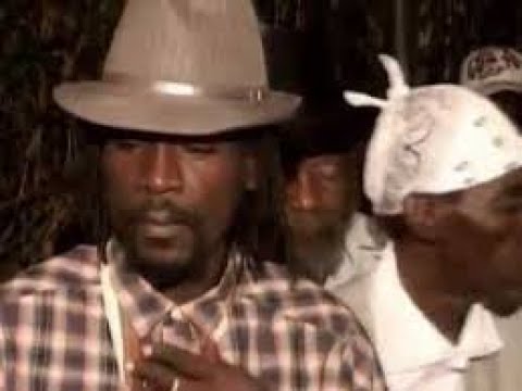 Stur Gav - Spread Some Love Reggae Affair