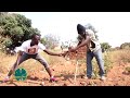 Ngobho Bhataalamu Video