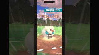 ▶️ Whimsicott Shiny Custom Fairy Winds 🪽✨| Sunshine Cup | #pokemon #pokemoncards #pokemontcg #viral