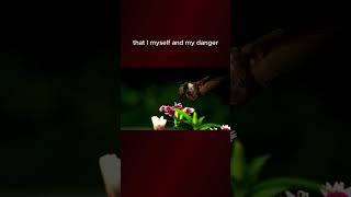 Download lagu TOP MUSIC SHORT (VERSION 5) I AM MY DANGER | VIDEO CLIP mp3