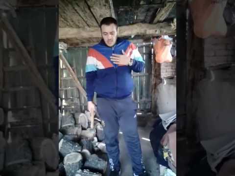 Djanan podayva 55  köyün delisi