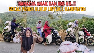 Download lagu BAHAGIA ANAK DAN IBU KU..!! SEKALI PANEN CUKUP UNTUK 1 KABUPATEN mp3 Download lagu BAHAGIA ANAK DAN IBU KU..!! SEKALI PANEN CUKUP UNTUK 1 KABUPATEN mp3