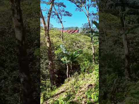 Terreno en Candelaria de Palmares, Alajuela | 5.111 m² | 76 m de frente | Inversión a futuro