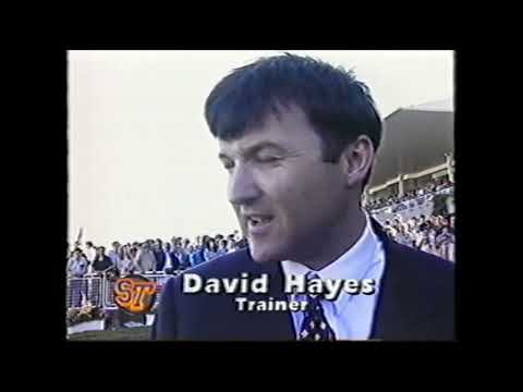 Carnegie & Glastonbury - Metrop Day 1994 - Nightly Sports News - Incl. Prix de l'Arc de Triomphe