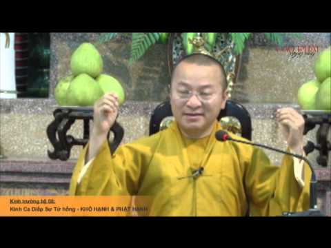 Kinh Trường bộ 08 - Kinh Ca-diếp Sư tử hống – Khổ hạnh và Phật hạnh (05/06/2014) - Thích Nhật Từ