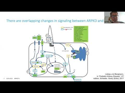 Video: What's new in ARPKD - Dr Max Liebau, Consultant Paediatric Nephrologist
