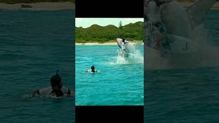 Download lagu A Great White Shark Attacked and Ate two surfers 😱🫣 #shorts #viral mp3 Download lagu A Great White Shark Attacked and Ate two surfers 😱🫣 #shorts #viral mp3