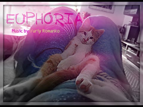 Yuriy Romanko - Euphoria