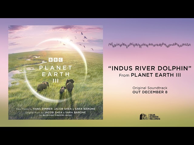 Planet Earth III - Indus River Dolphin (Official Audio)