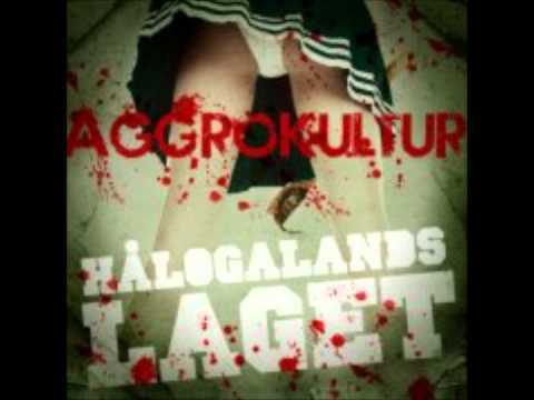 Hålogalandslaget - Gni Det Inn