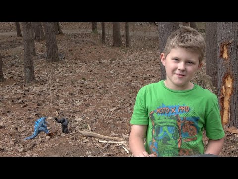 FLASH FLOOD FRENZY - GODZILLA vs KING KONG