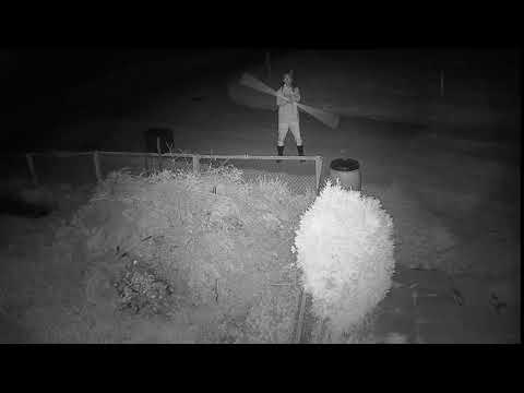 2020 03 19   Economic Cycle without Coronavirus