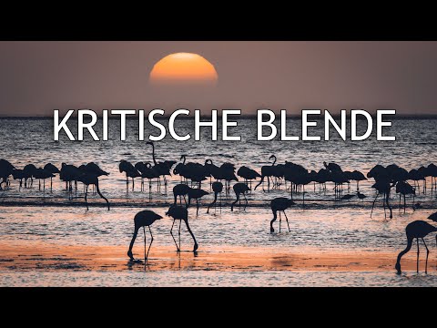 Diese Blende solltest du auf keinen Fall einstellen? Kritische Blende