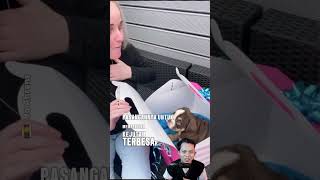 Download lagu MOMEN BAHAGIA KETIKA ISTRINYA DI BERIKAN HADIAH ANJING BULLDOG !! mp3 Download lagu MOMEN BAHAGIA KETIKA ISTRINYA DI BERIKAN HADIAH ANJING BULLDOG !! mp3