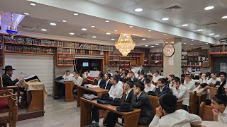להתפרנס בכבוד  - שיעורו של הרב הגאון שמעון דרור שליט"א - פרשת לך לך  תשפ"ו