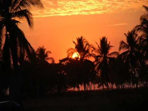 Kuffdam & Plant - Summer Dream (Sunset On the Beach mix)