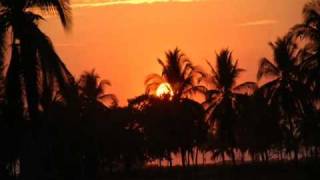 Kuffdam & Plant - Summer Dream (Sunset On the Beach mix)