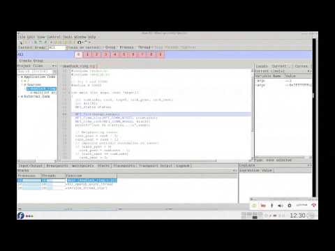 Debugging and profiling of MPI programs