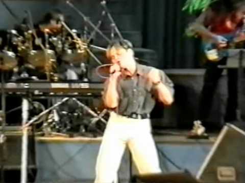 Martin Braun - Vítr  ( I need a Hero)