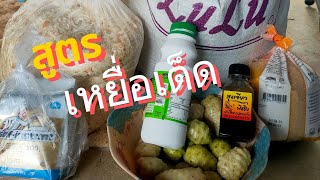 สูตรเหยื่อเด็ดสำหรับตกปลาเกล็ดตัวใหญ่ๆ รับรองสูตรนี้เข้าไว เข้าจริง