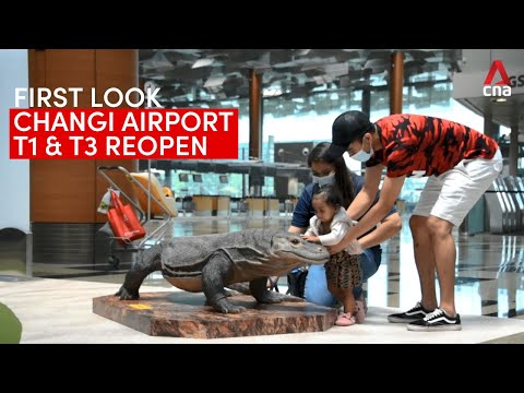 Os terminais 1 e 3 do aeroporto de Changi reabrem: primeira análise