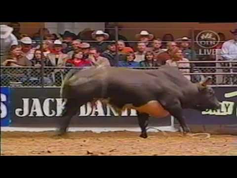 PBR 2004: Corey Navarre spins off Get Ya Some
